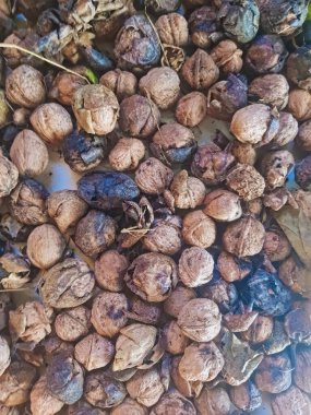 Olgun cevizlerin üst görüntüsü, hem soyulmamış fındıkları hem de hala doğal kabuklarında olanları gözler önüne seriyor, özgün halleriyle ayırt edici dokularını ve zengin, toprak renklerini vurguluyor..