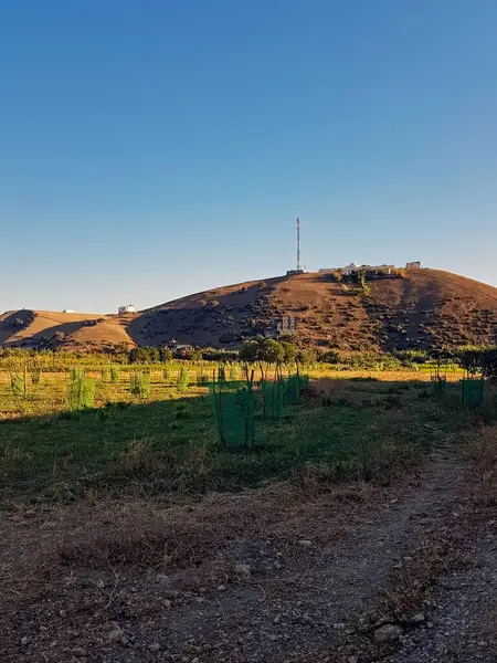 Sakin altın bir günbatımı, mütevazı bir zirveyi aydınlatıyor ve kırsal alanda güneşin öptüğü uçsuz bucaksız bir dönümü aydınlatıyor..