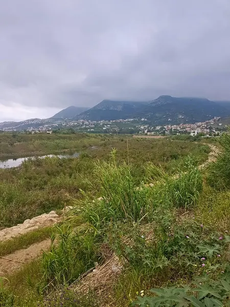 Bulutlu bir günde yükselen sazlıklar ve canlı otlarla bezenmiş bir vadi doğal renklerle bezenmiş sakin bir manzara oluştururken, uzak dağlar ve köyler nefes kesici bir zemin sunuyor..