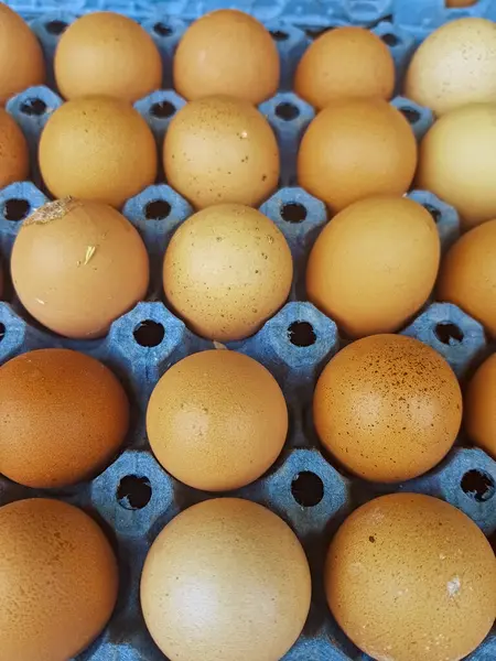 Tavuk yumurtaları titizlikle canlı, çizgi film tarzı bir tabakta göz alıcı bir şekilde düzenlenmiştir. Renkli desenleri ve kaprisli tasarımı vurgular..