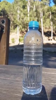 Plastik bir su şişesi, yarısı dolu ve yarısı boş, ahşap bir yüzey üzerinde oturur. Işığın ve gölgenin dansı bu büyüleyici doğal güzellik gösterisinde büyüleyici bir görsel hikaye örüyor..