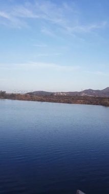 Nehir kıyısında dikkatle toplanmış bir grup kuş karşı kıyıda zarif bir şekilde kanatlarını çırparak çarpıcı tüylerini sergiliyor..