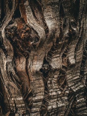 Doğayı sev ve koru. Yeşil çevre dostu yaşam tarzı. Dikey. Yüksek kalite fotoğraf