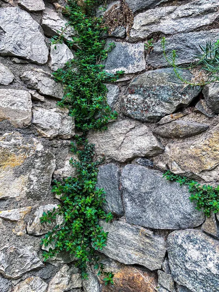 stock image Stone wall texture. Old castle stone wall texture background. Stone wall close up, background or texture. Part of a large stone for background or texture. High quality photo