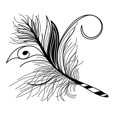 Vektör dekoratif tüy. Boho tarzında siyah ve beyaz tüy çizimi. Kabarık tüy beyazda izole edilmiş..