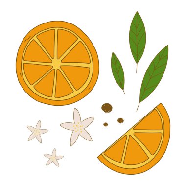 Set of orange citrus fruits. Orange, orange slices, flowers and leaves. Vector illustration isolated on a white background. Flat simple style.