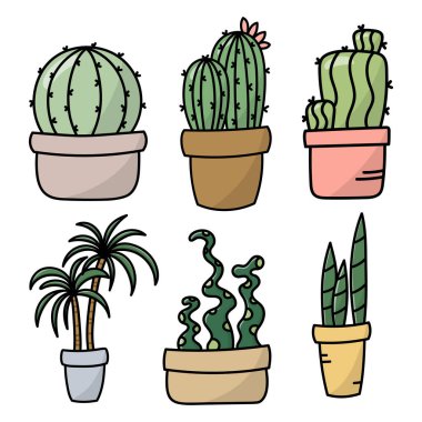 Cactus isolated cartoon icon set. Vector illustration of mexican cacti isolated on white background. Vector cartoon set of cactus icons with flower.