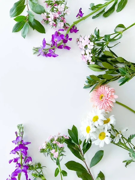 Γιαπωνέζικο Dianthus Gerbera Χαμομήλι Και Φύλλα Δάφνης Floral Πλαίσιο Κενό — Φωτογραφία Αρχείου