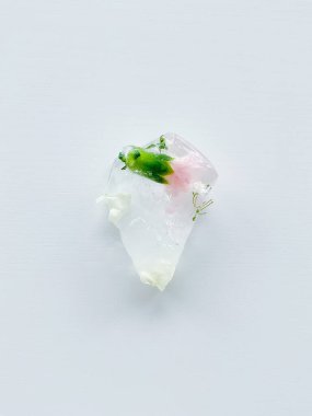 Karanfiller beyaz arka planda buz küpünde dondular. Yukarıdan görüntüle