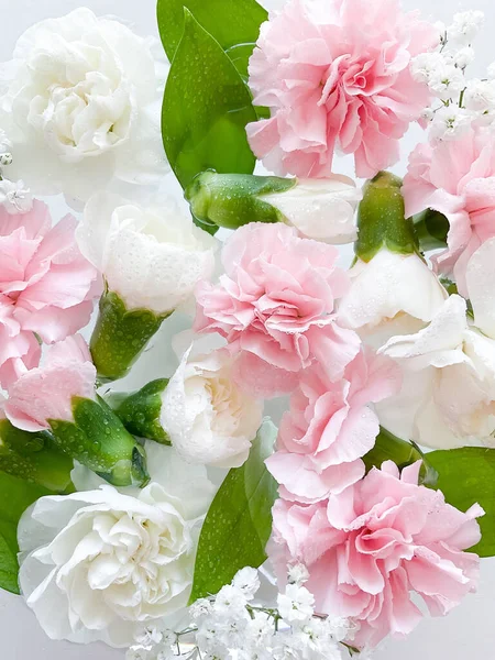 stock image Carnation in water, spa background. Leaves, gypsophila and carnation with water drops.