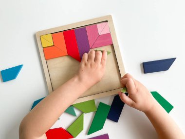 Childs el, beyaz arka planda çok renkli ahşap mozaik koleksiyonu yapıyor. Çocuk renkli bir tangram çözüyor. Beyaz arkaplanda renkli geometrik şekillerin karesi.