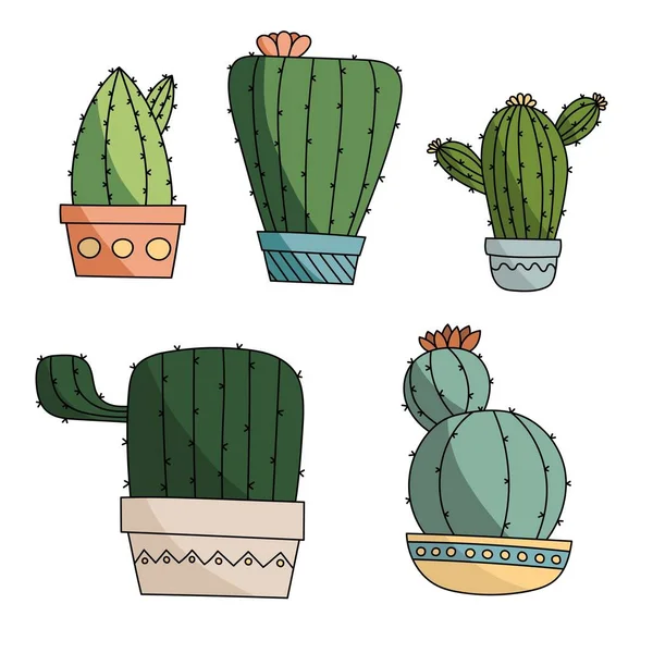 Lindo Conjunto Cactus Brillantes Cactus Colección Plantas Exóticas Elementos Naturales — Foto de Stock
