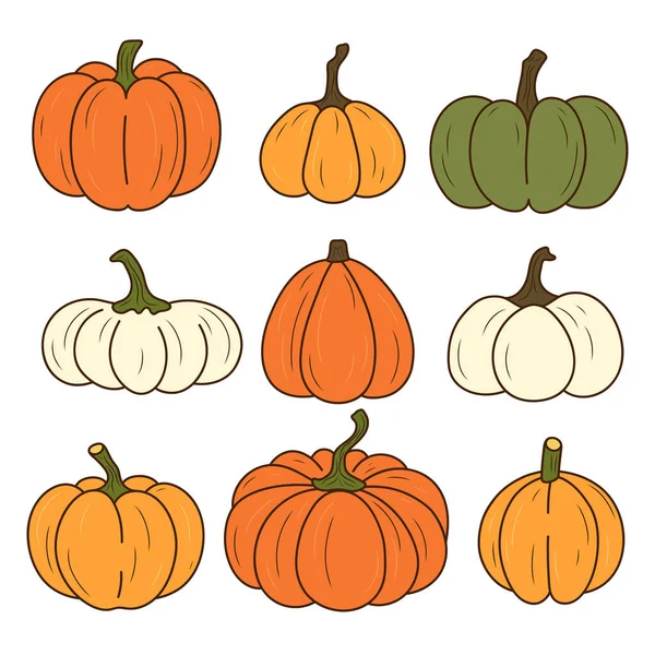 Zucca Varie Forme Colori Elementi Del Ringraziamento Halloween Alta Qualità — Vettoriale Stock
