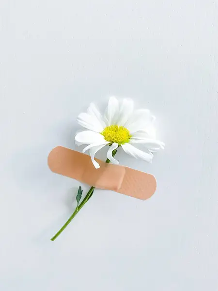 Beautiful chamomile flower with band-aid on a white background