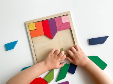 Childs el, beyaz arka planda çok renkli ahşap mozaik koleksiyonu yapıyor. Çocuk renkli bir tangram çözüyor. Beyaz arkaplanda renkli geometrik şekillerin karesi.