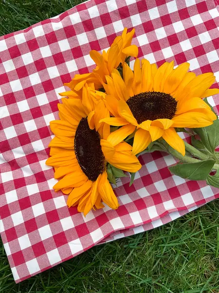 Bright sunflowers on red and white checkered cloth over green grass, picnic concept with a summer vibe for outdoor lifestyle design. ideal for summer themed designs, picnic event promotions