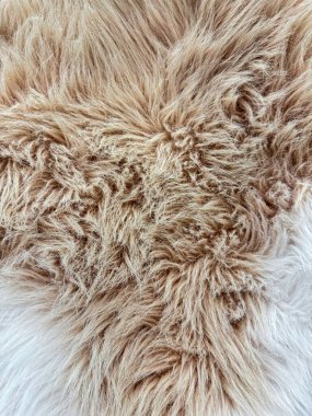 Doğal girdap desenli bej hayvan kürkü dokusunu kapatın. Tasarım ve baskı için detaylı makro fotoğrafçılık. Yüksek kalite fotoğraf