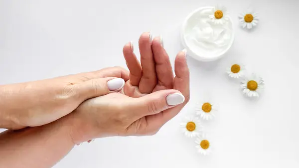 stock image Close up of middle age woman hands applying cream with chamomile flowers and hand cream container on white background. Skincare and natural beauty concept. For healthcare, wellness, organic product.