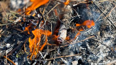 Açık havada yanan dallara ve küllere yakın çekim yapın..