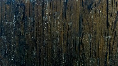 Close up of textured dark brown stone tiles with water drops. Detailed nature photography capturing intricate patterns. Natural background. High quality photo clipart