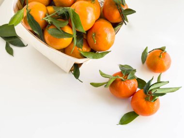 Taze olgun mandalinalar, beyaz arka planda, ahşap sepette yeşil yapraklar..