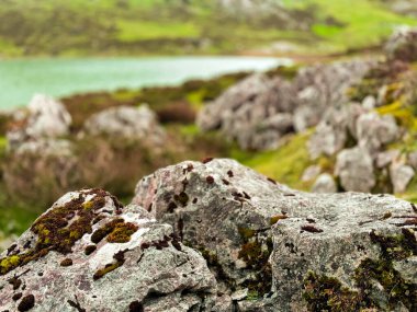 Bereketli yeşil bir göl ile kaplı yosun kaplı kayalık arazi.
