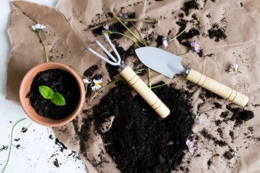 Bahçecilik aletleri ve saksı bitkisi kahverengi kağıt üzerinde toprak ve çiçeklerle.