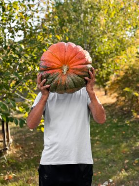 Olgun beyaz erkek sonbahar bahçesinde büyük bir balkabağı tutuyor.