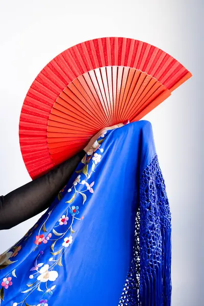 Flamenko dans titreşimleri. Kırmızı yelpaze mavi çiçekli şalla tutkulu bir şekilde.