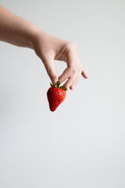 Açık gri arka planda taze kırmızı çilek tutarken.