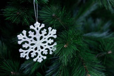Yeşil Noel ağacı dalında asılı gümüş kar tanesi süsü.
