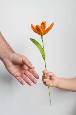 Çocuk, beyaz arka planda yetişkine portakal örülmüş çiçek veriyor. Babalar Günü konsepti.