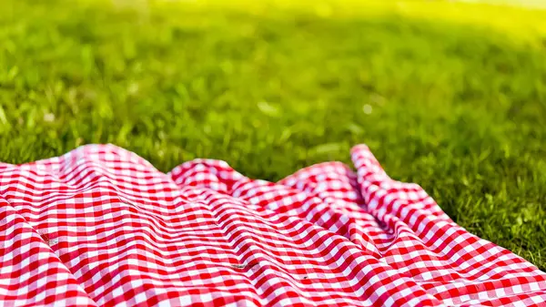 Güneşli parkta çimlerin üzerinde kırmızı kareli piknik battaniyesi. Yüksek kalite.