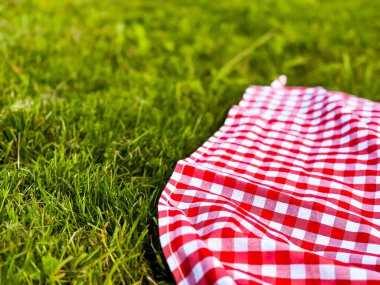 Kırmızı kareli piknik battaniyesi, yemyeşil çimlerin üzerinde, güneşli açık hava ortamında. Yüksek kalite.