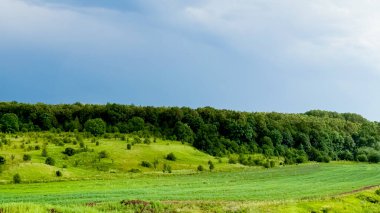 Bulutlu bir gökyüzünün altında yemyeşil tepeler ve sık bir orman. Yüksek kalite.