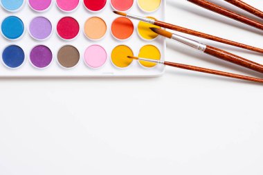 Beyaz arka planda fırçaları olan renkli suluboya palet. Yüksek kalite.
