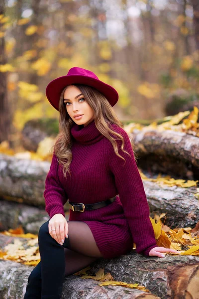 穿着舒适的针织勃艮第服装 头戴帽子 坐在秋天背景的大自然上的漂亮姑娘 — 图库照片