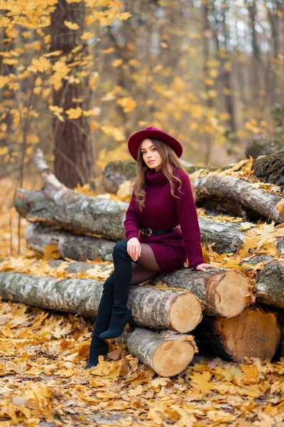 Menina Bonita Acolhedor Vestido Malha Borgonha Chapéu Sentado Natureza Com — Fotografia de Stock
