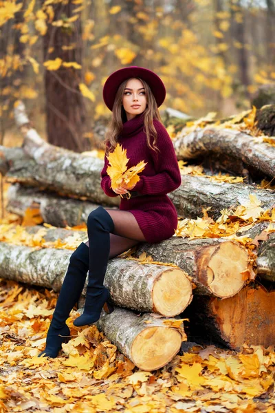 Piękna Dziewczyna Przytulnej Dzianiny Sukienka Kapelusz Siedzi Łonie Natury Jesiennym — Zdjęcie stockowe