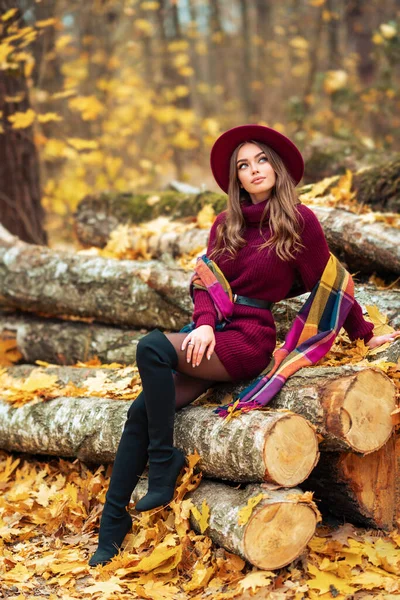Menina Bonita Acolhedor Vestido Malha Borgonha Chapéu Sentado Natureza Com — Fotografia de Stock