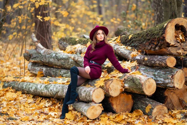 美丽的姑娘穿着舒适的针织勃艮第衣服 戴着一顶帽子 坐在大自然上 有着秋天的背景 漂亮的模特造型 — 图库照片
