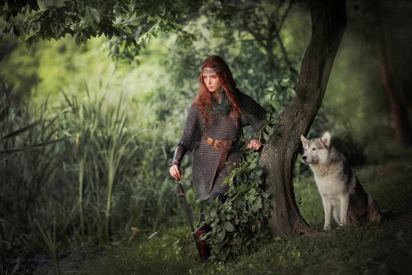 Beautiful red haired girl in metal medieval armor dress with sword standing in warlike pose with dog. Fairy tale story about warrior . Warm art work.