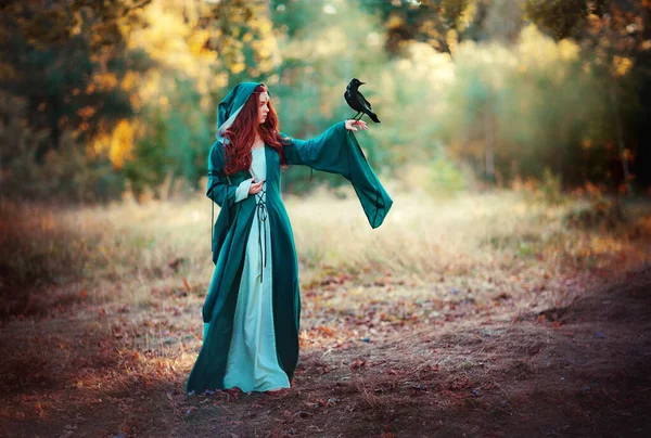 Porträt Eines Schönen Rothaarigen Mädchens Grünem Mittelalterlichen Kleid Auf Glühender — Stockfoto