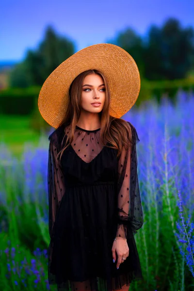 一个穿着黑色透明连衣裙 头戴草帽 站在五彩缤纷的薰衣草地里的漂亮姑娘的画像 浪漫女人的艺术作品 — 图库照片