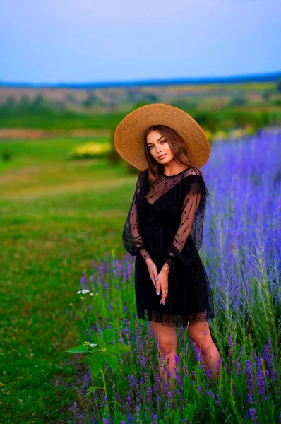 一个穿着黑色透明连衣裙 头戴草帽 站在五彩缤纷的薰衣草地里的漂亮姑娘的画像 浪漫女人的艺术作品 — 图库照片