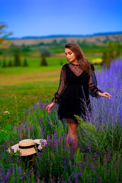 Porträtt Vacker Flicka Svart Transparent Klänning Stående Färgglada Lavendel Fält — Stockfoto