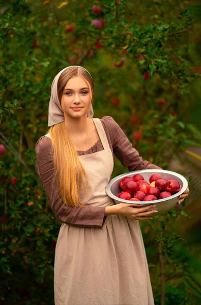 Retrato Menina Loira Bonita Vestido Medieval Avental Tomando Maçãs Vermelhas — Fotografia de Stock