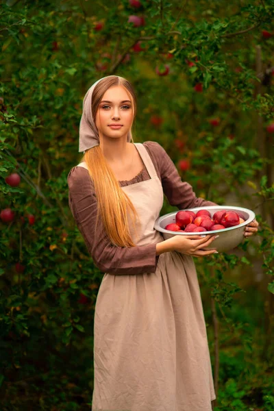 Retrato Una Hermosa Chica Rubia Vestido Medieval Delantal Tomando Manzanas — Foto de Stock
