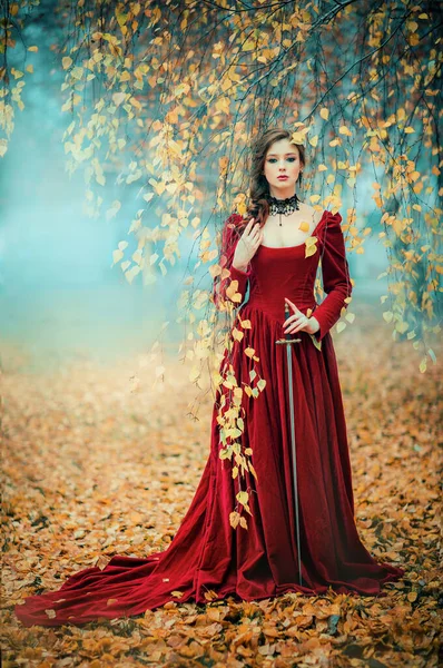 Portret Wspaniałej Dziewczyny Gotyckiej Mody Stojącej Jesiennym Lesie Fantasy Dzieło — Zdjęcie stockowe
