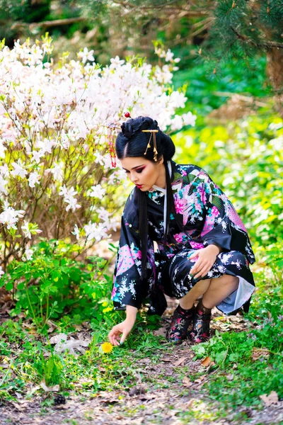 Schöne Asiatische Brünette Mit Stöcken Haar Und Kimono Posiert Blühenden — Stockfoto